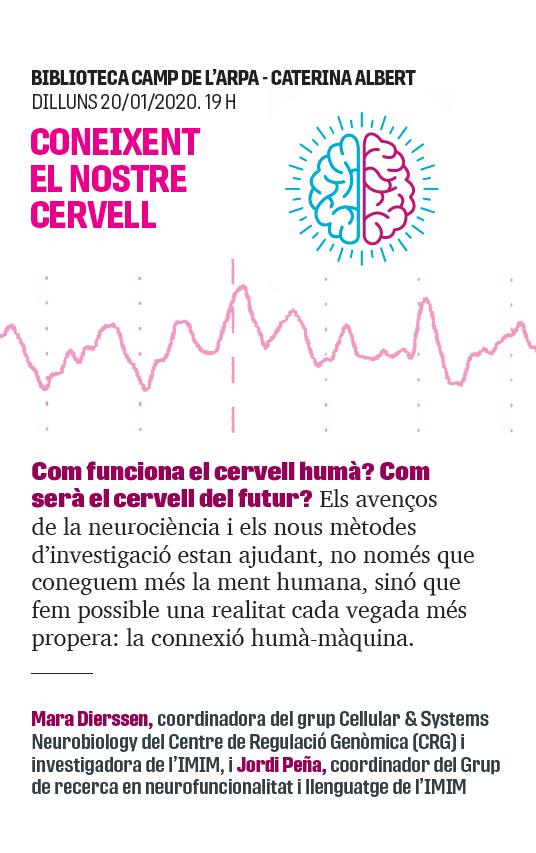 Coneixent el nostre cervell