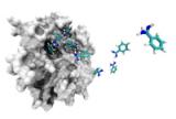 Un gran pas en la simulació molecular, clau per al disseny de nous fàrmacs