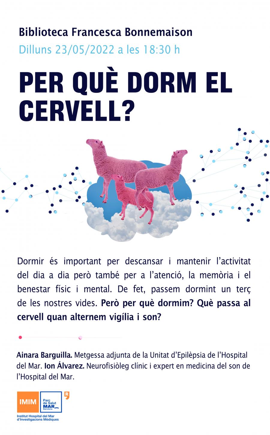 Per què dorm el cervell?